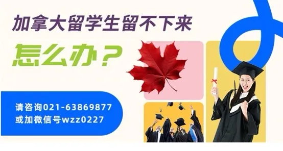 今日美股：非农数据助推降息预期，科技股领涨标普纳指齐创新高-圖片3